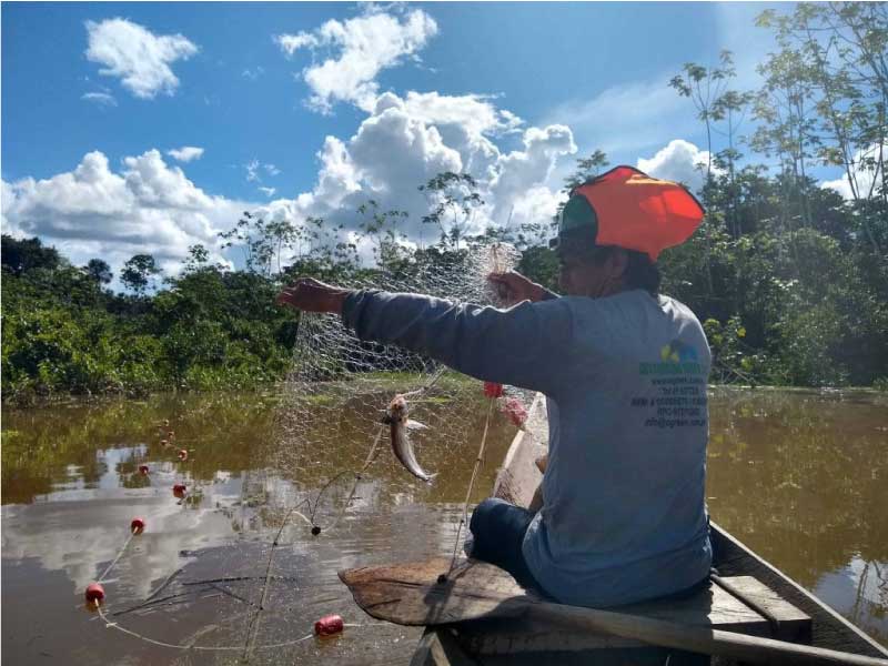 monitoreo flora fauna ogreen