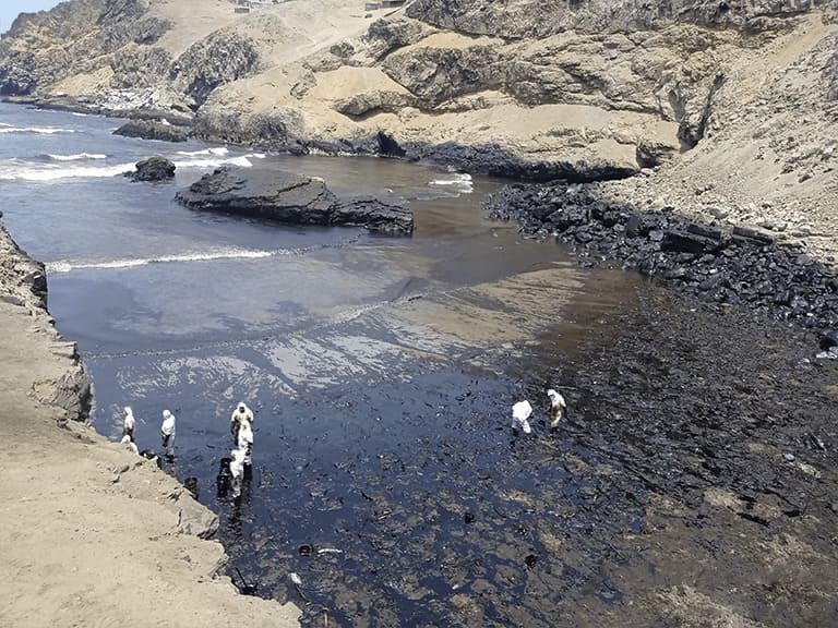 recoleccion manual ventanilla