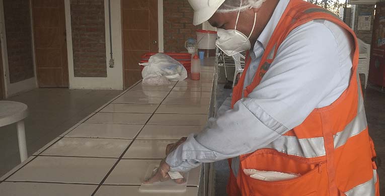 tomas muestras ogreen