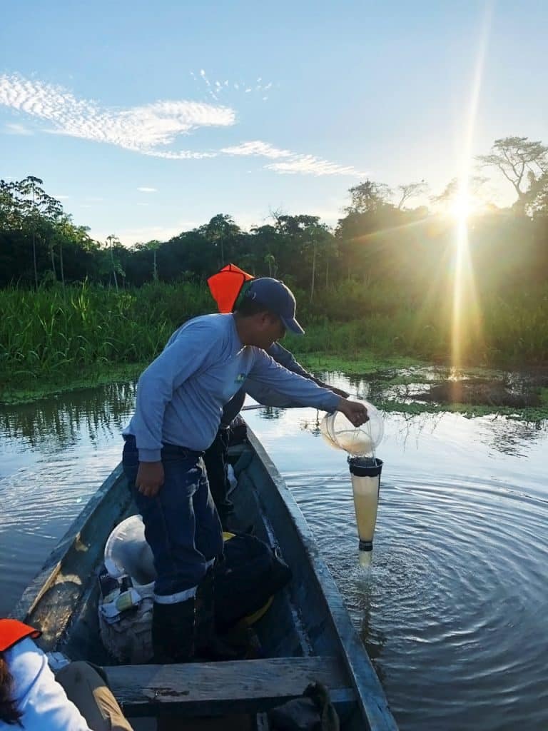 monitoreo flora fauna