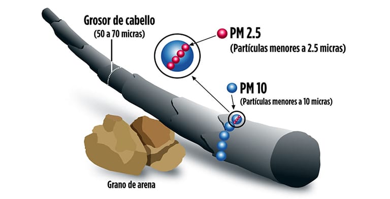 material particulado comparado cabello